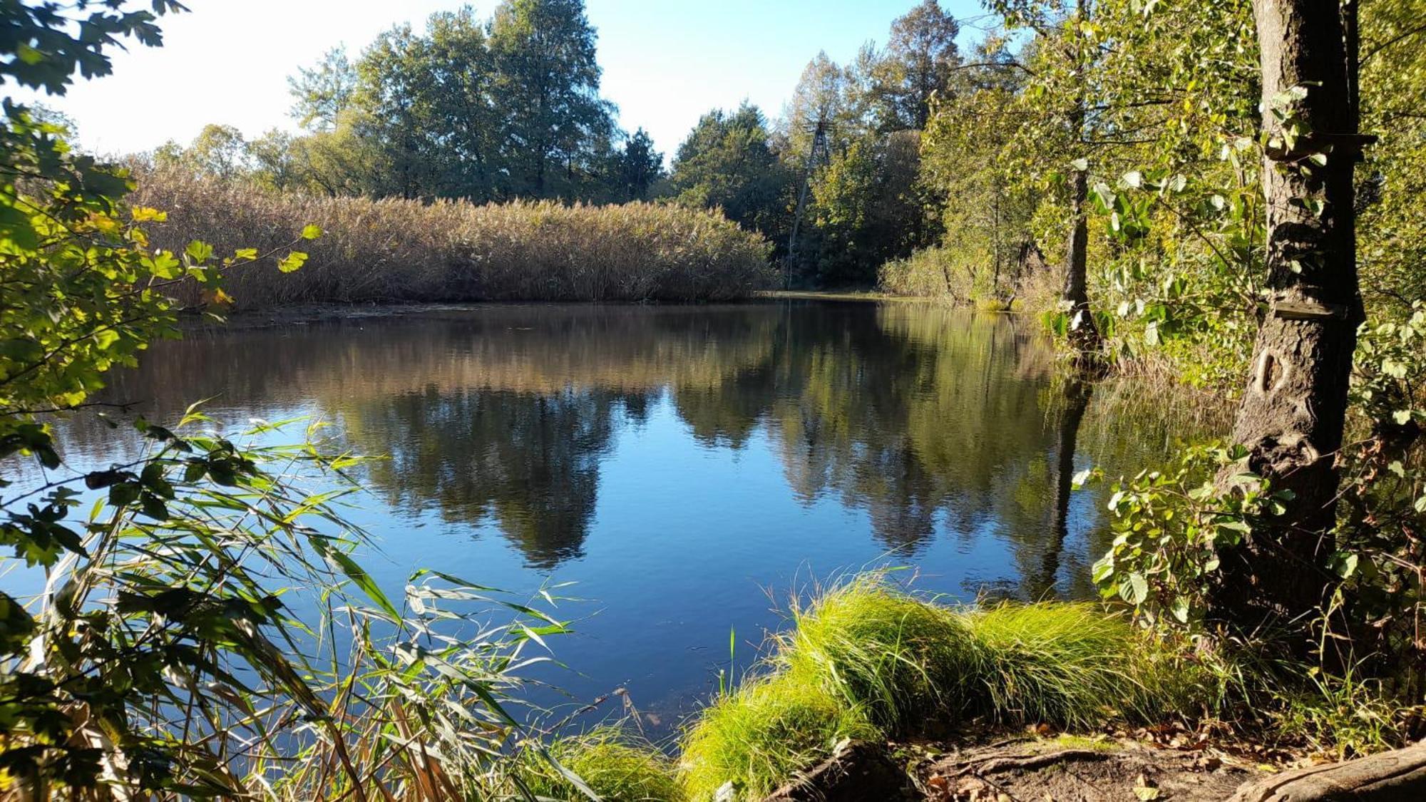 Osada Pod Lasem Andrychów Exteriör bild
