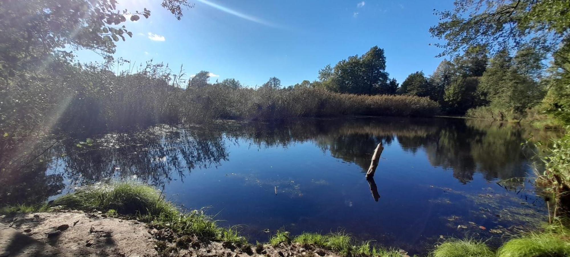 Osada Pod Lasem Andrychów Exteriör bild