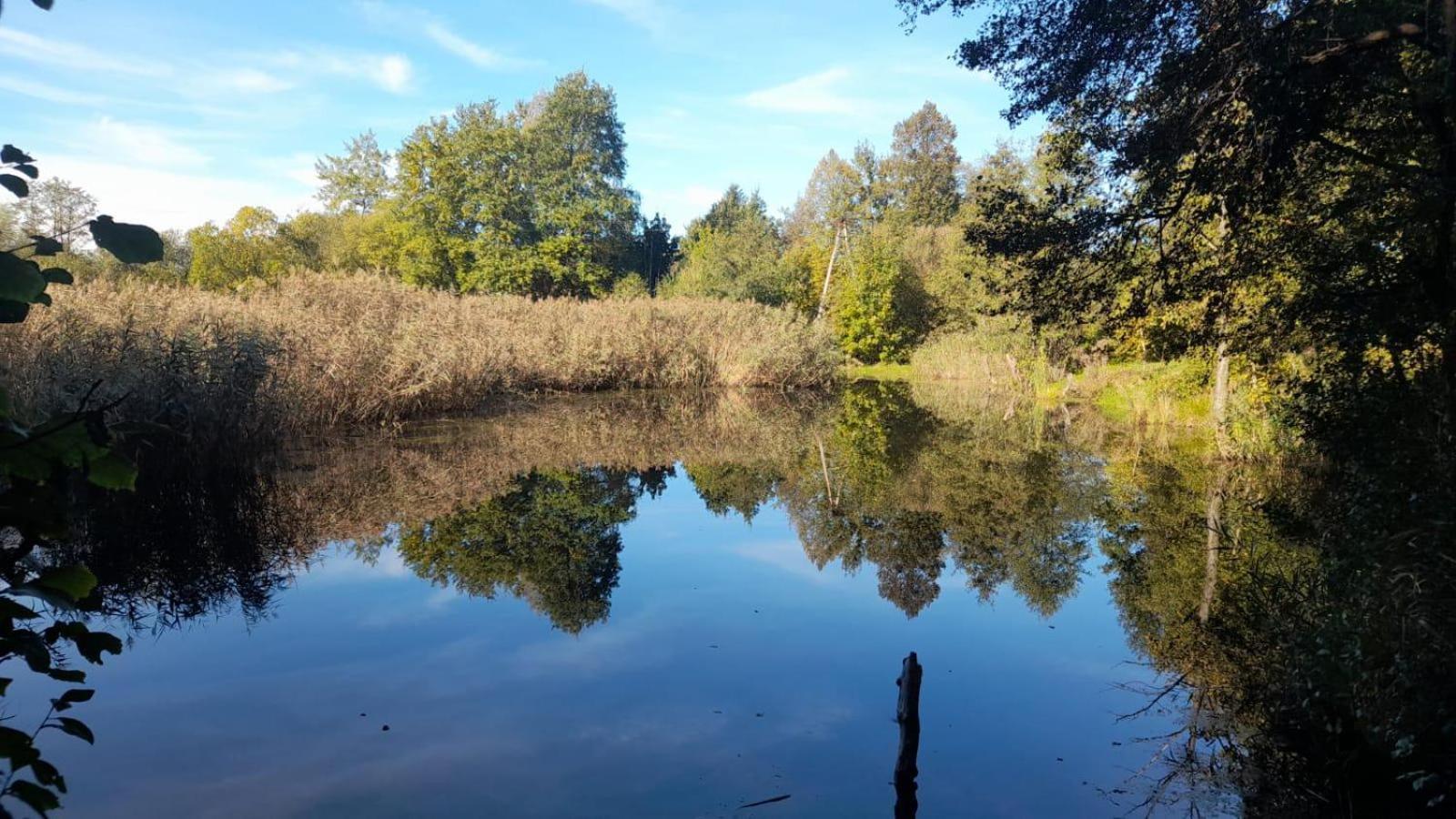 Osada Pod Lasem Andrychów Exteriör bild