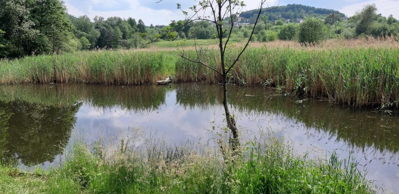 Osada Pod Lasem Andrychów Exteriör bild